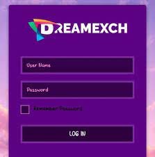 How to Track Your Transactions and Activity on Dreamexch In